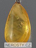 amber, pendant