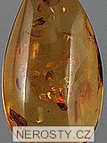 amber, pendant