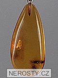 amber, pendant