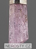 kunzite, pendant