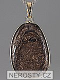 bronzit <span class='neprelozeno'>(cz)</span>